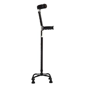 Βακτηρία τετράποδη