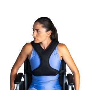 Ζώνη Υποστήριξης Κορμού