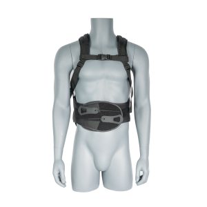 Κορμός βιτρίνας